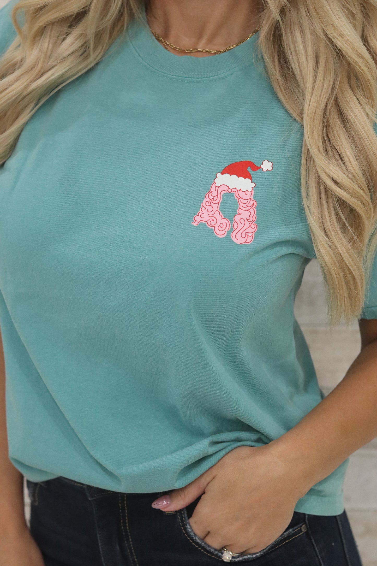 Holly Dolly Christmas