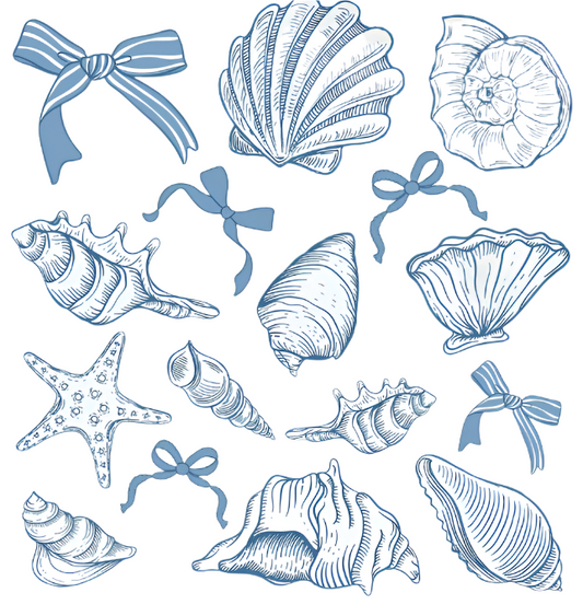 Seashells